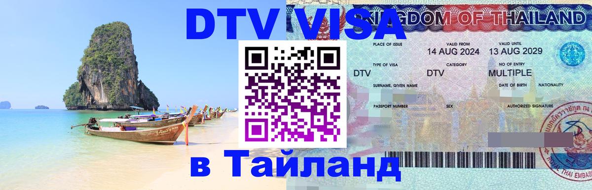 Сколько стоит DTV виза — актуальные цены, оформление даже без документов - 19.11.2025 